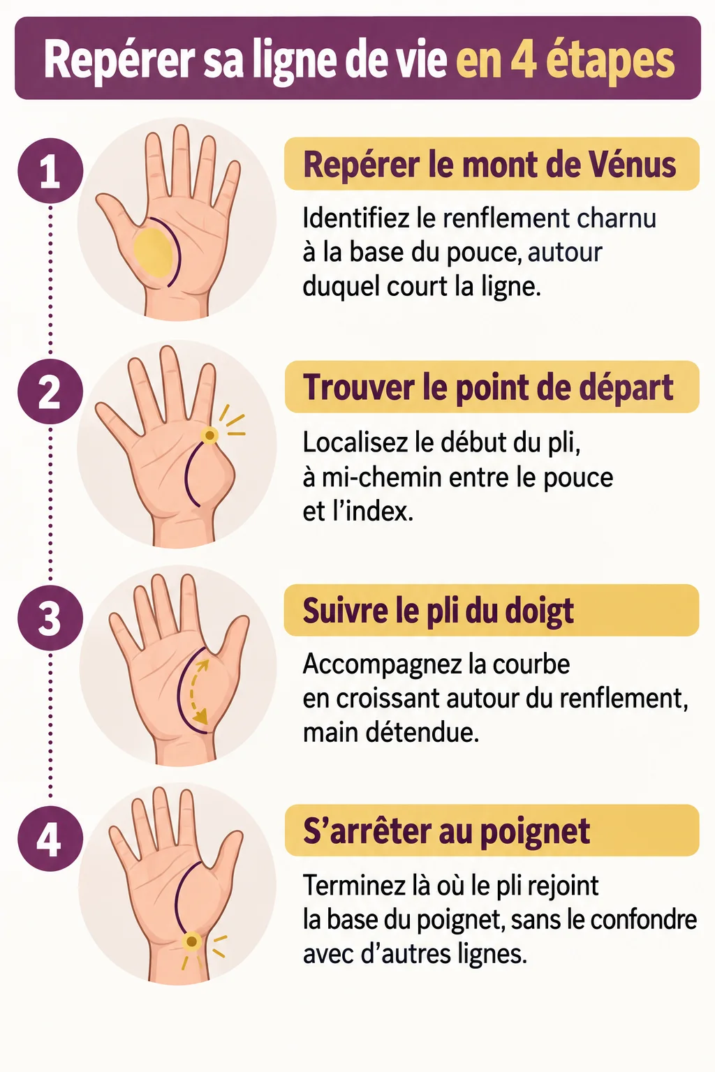 Repérer sa ligne de vie en 4 étapes : 1. Repérer le mont de Vénus, 2. Trouver le point de départ, 3. Suivre le pli du doigt, 4. S'arrêter au poignet